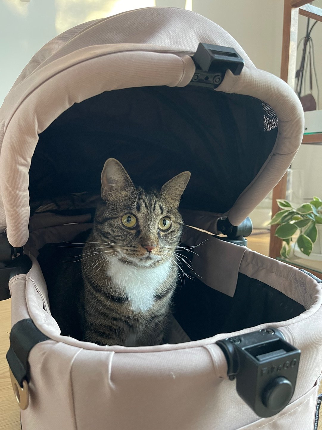 김지훈님의 팜모닝 토론방 · 주제요청 작성글 사진