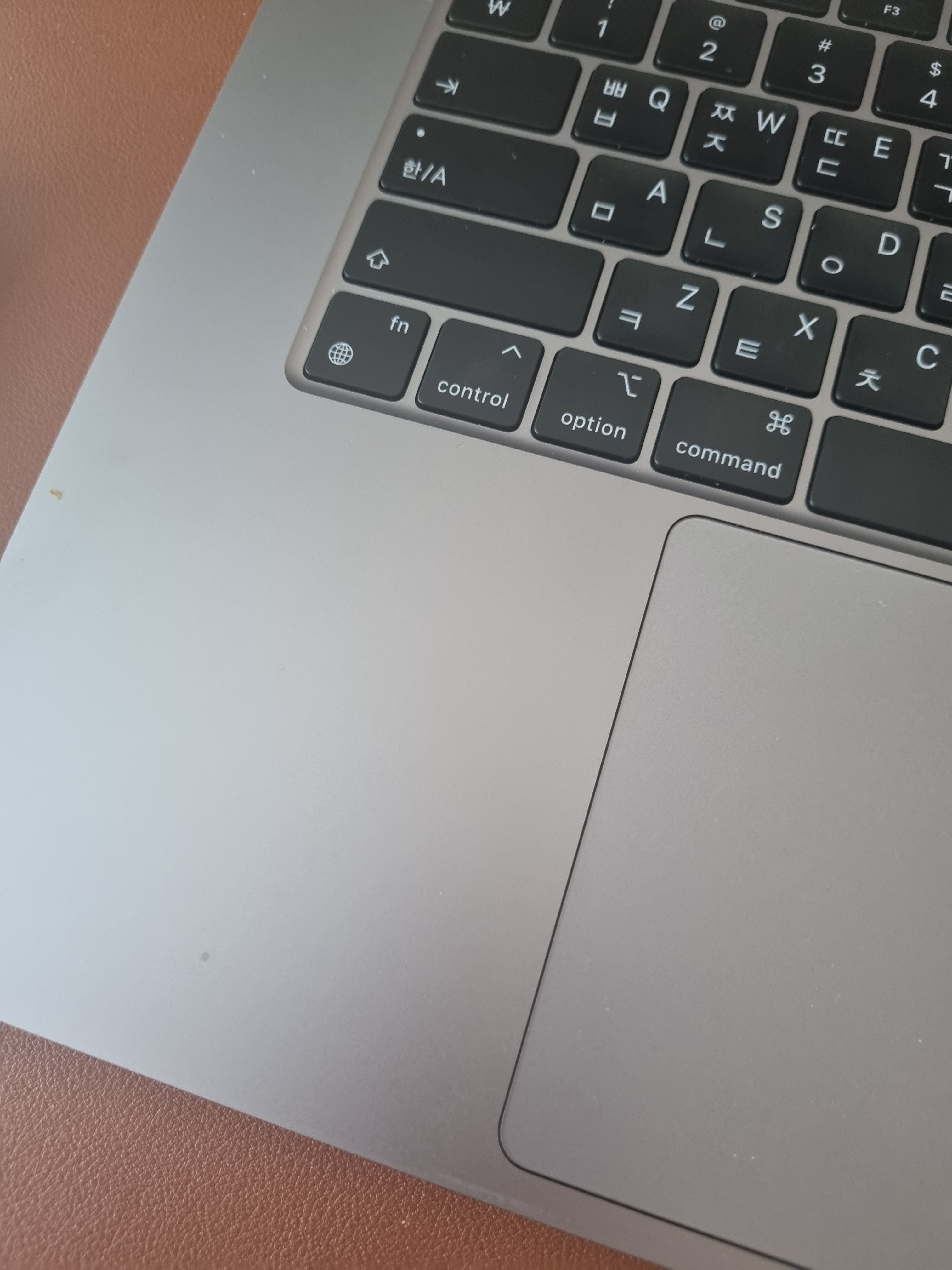 장터 상품 [ㄹㄹ] 썸네일