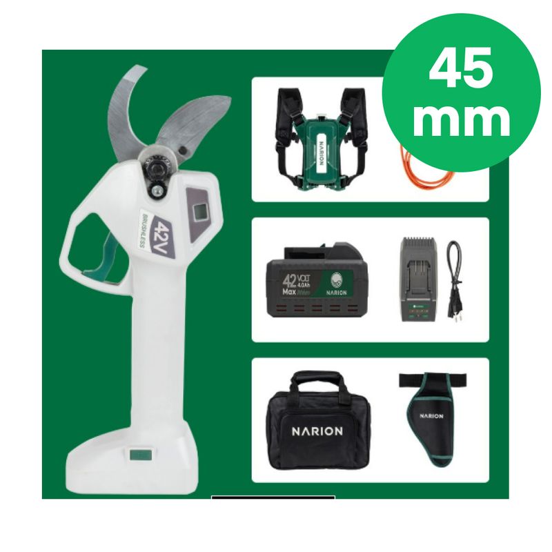 장터 상품 [딸기 002 (수정2)] 썸네일