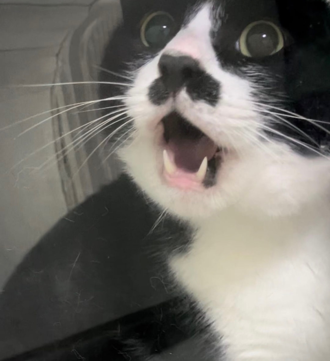 팜모닝 · 게시글 이미지