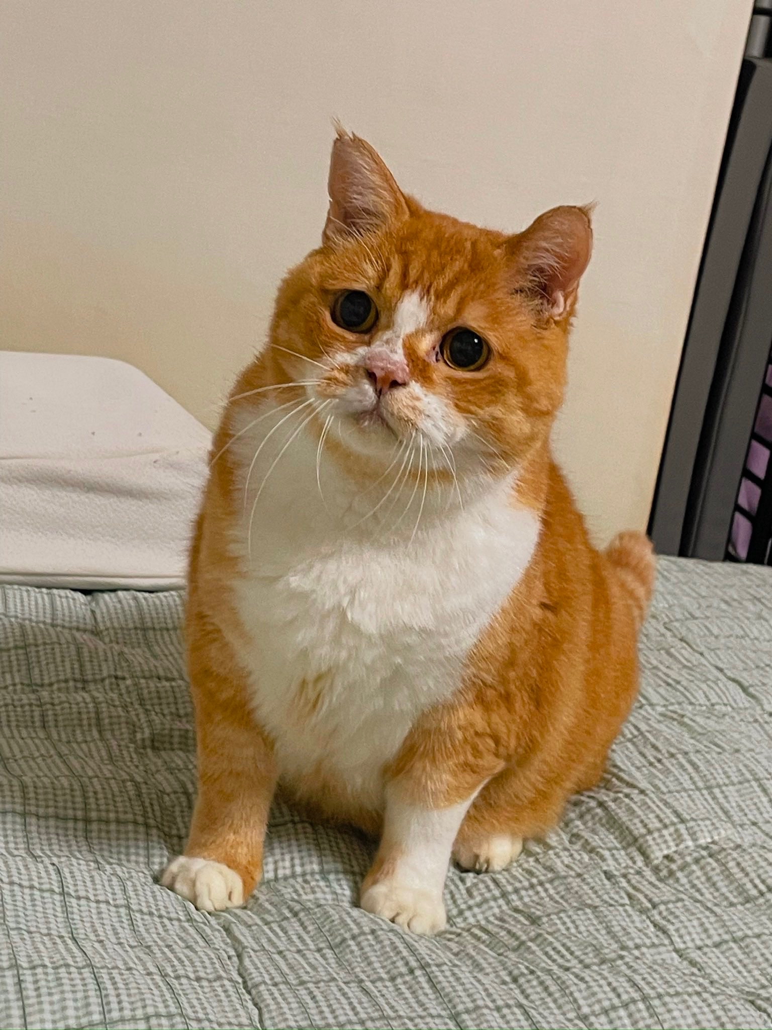 장터 상품 [[포인트상품] 테스트상품 ] 썸네일