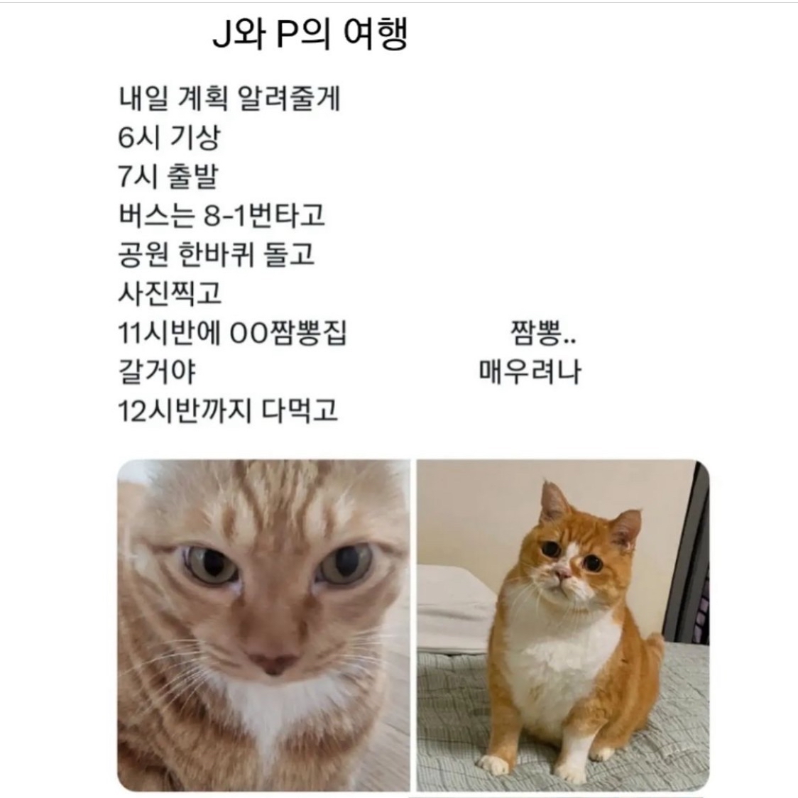 FM테스트_기업님의 장터 판매 상품 [[포인트상품] 테스트상품 ] 첨부 사진