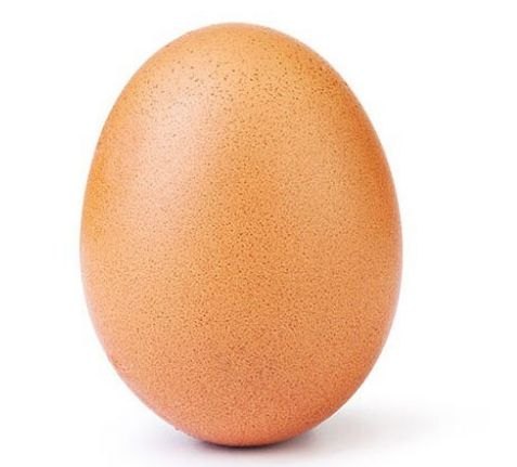 진짜 이름24님의 고구마 · 자유게시판 작성글 사진