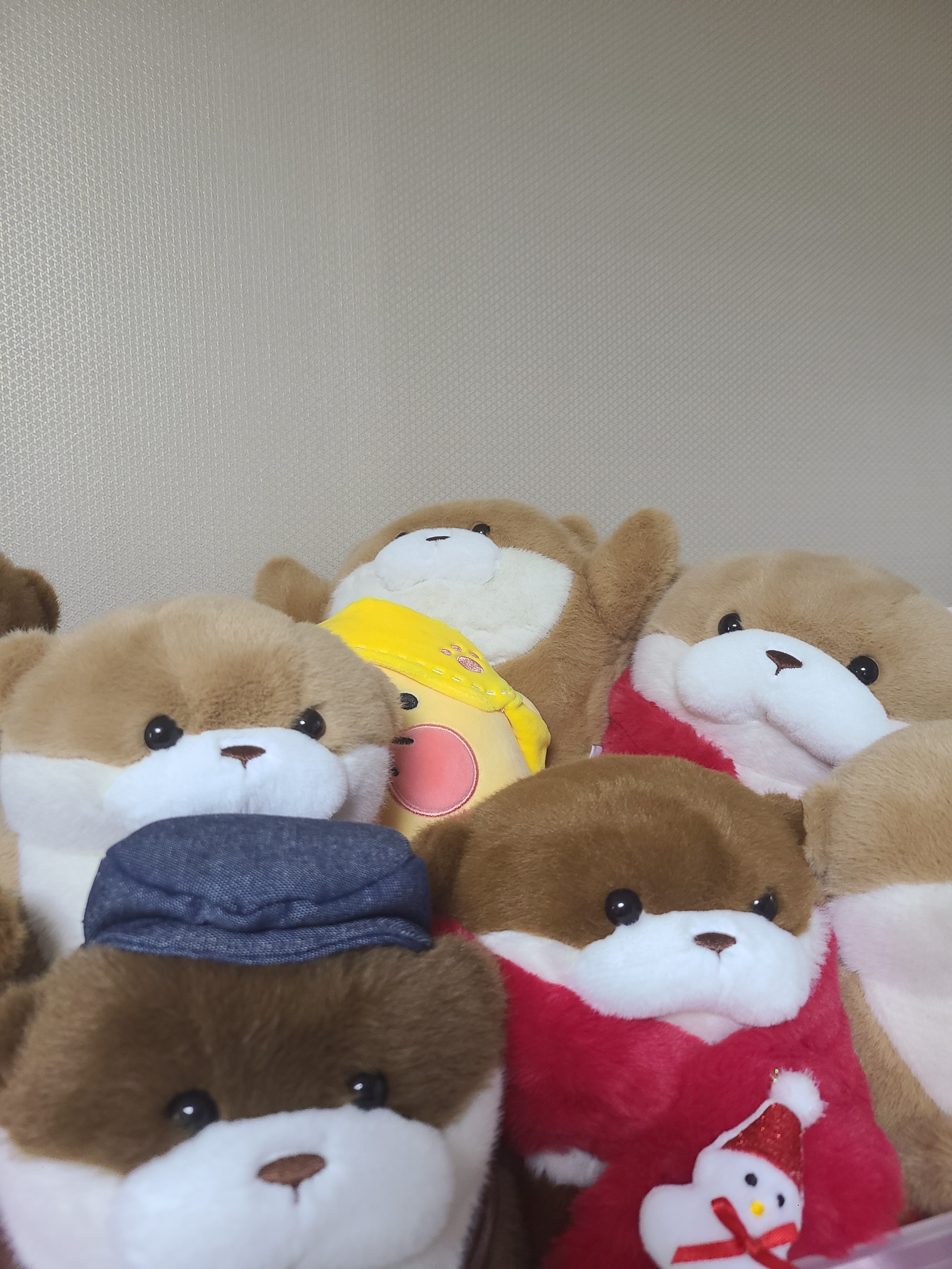 장터 상품 [구 상품 테스트] 썸네일