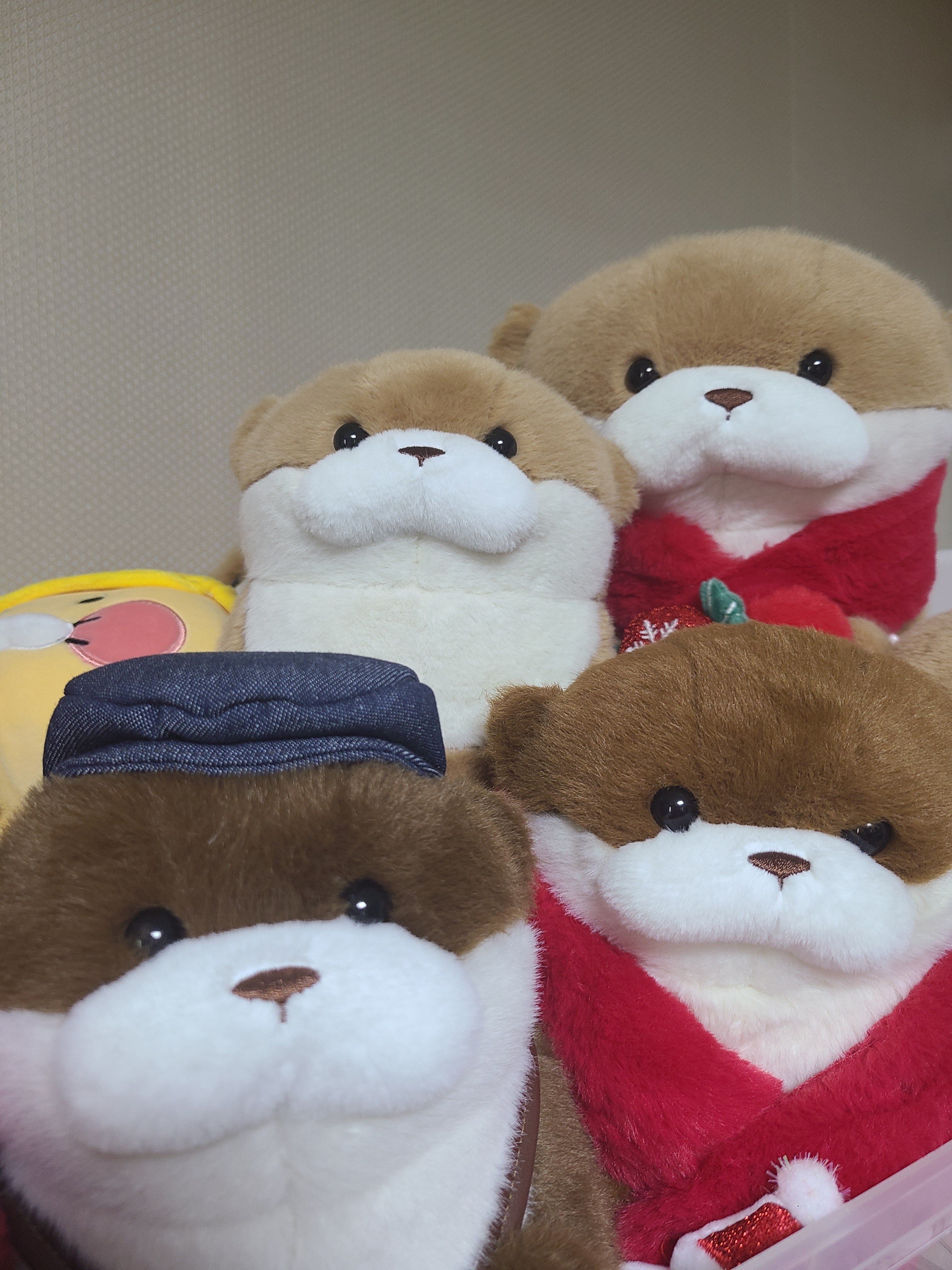 FM테스트_기업님의 장터 판매 상품 [구 상품 테스트] 첨부 사진