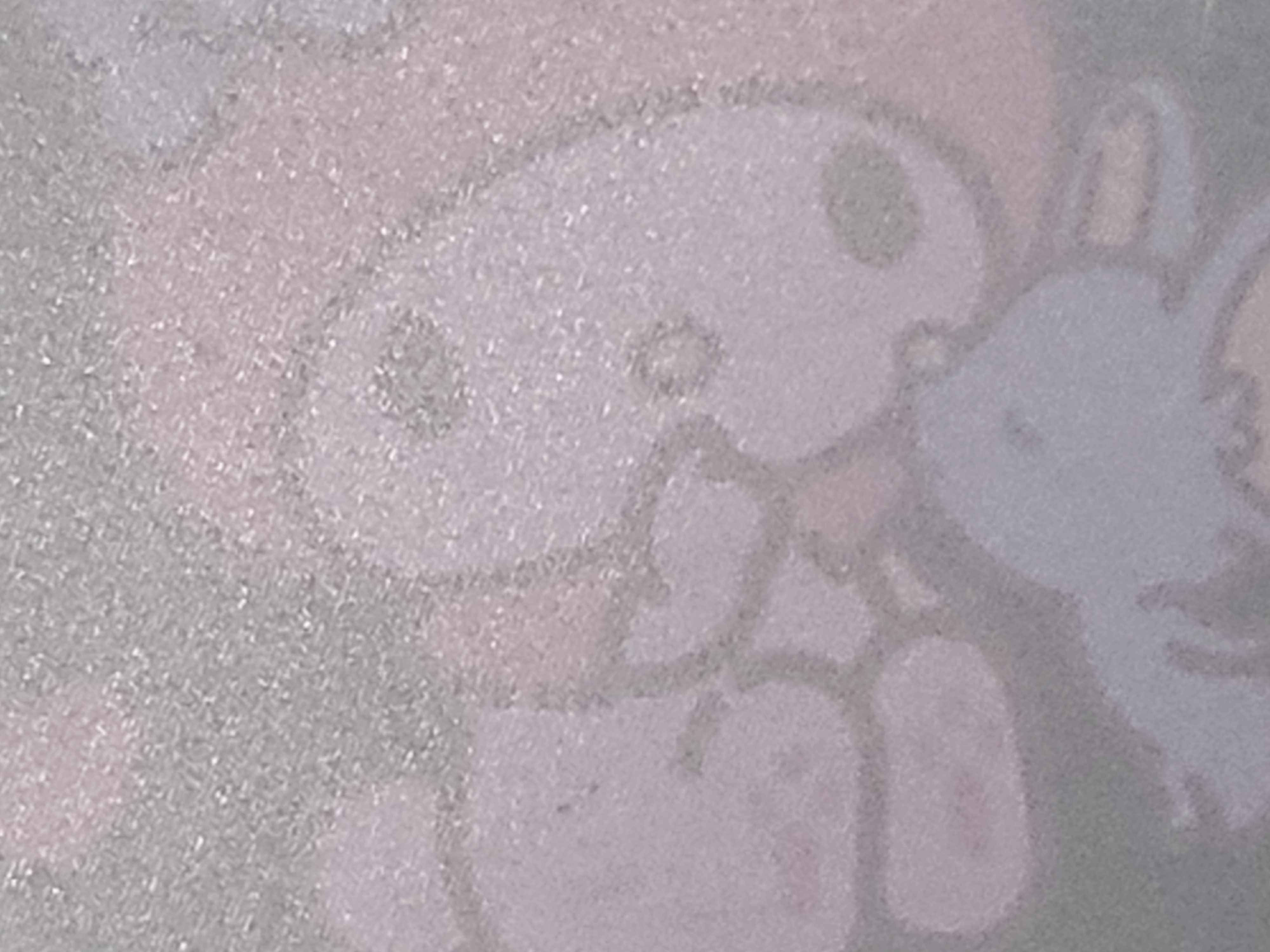 팜모닝 감·영농일지 게시글 이미지