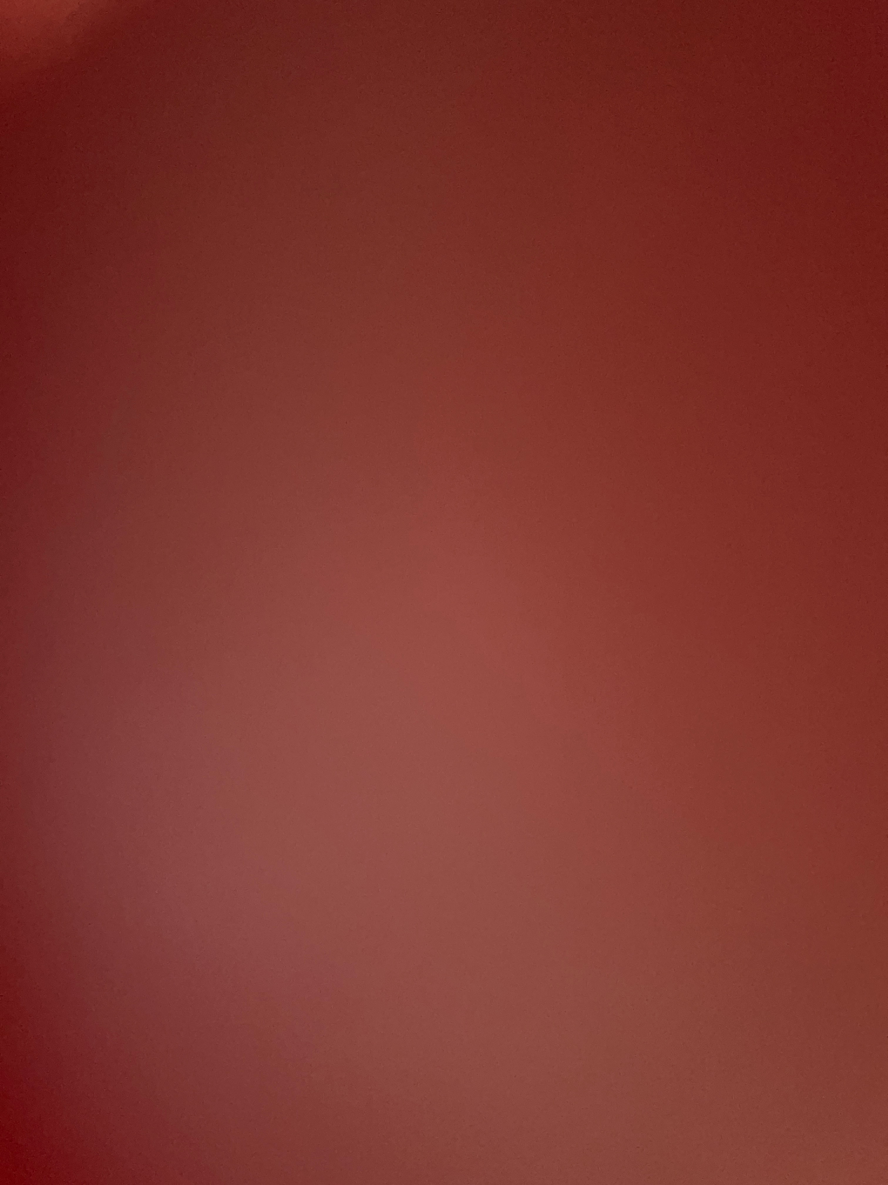 이름 없음님의 벼 · 병해충상담 작성글 사진