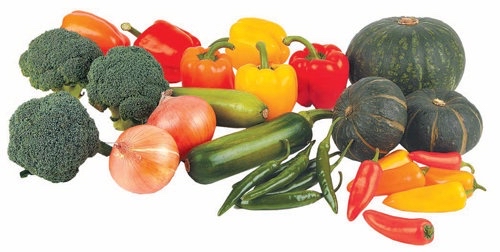 이름 없음님의 농사, 무엇이든 물어보세요! · 참여글 작성글 사진