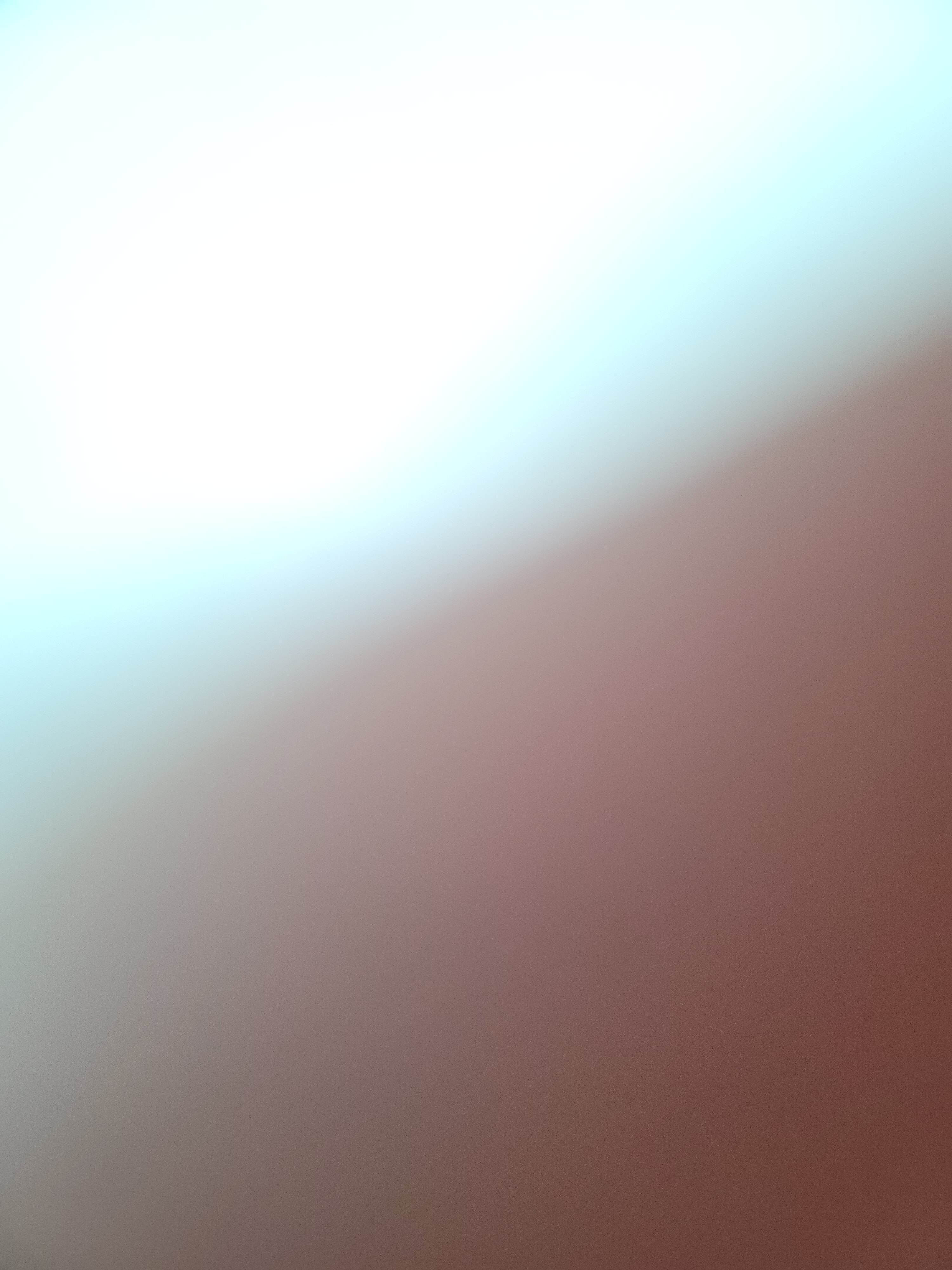 팜모닝 자유주제·사진전 게시글 이미지