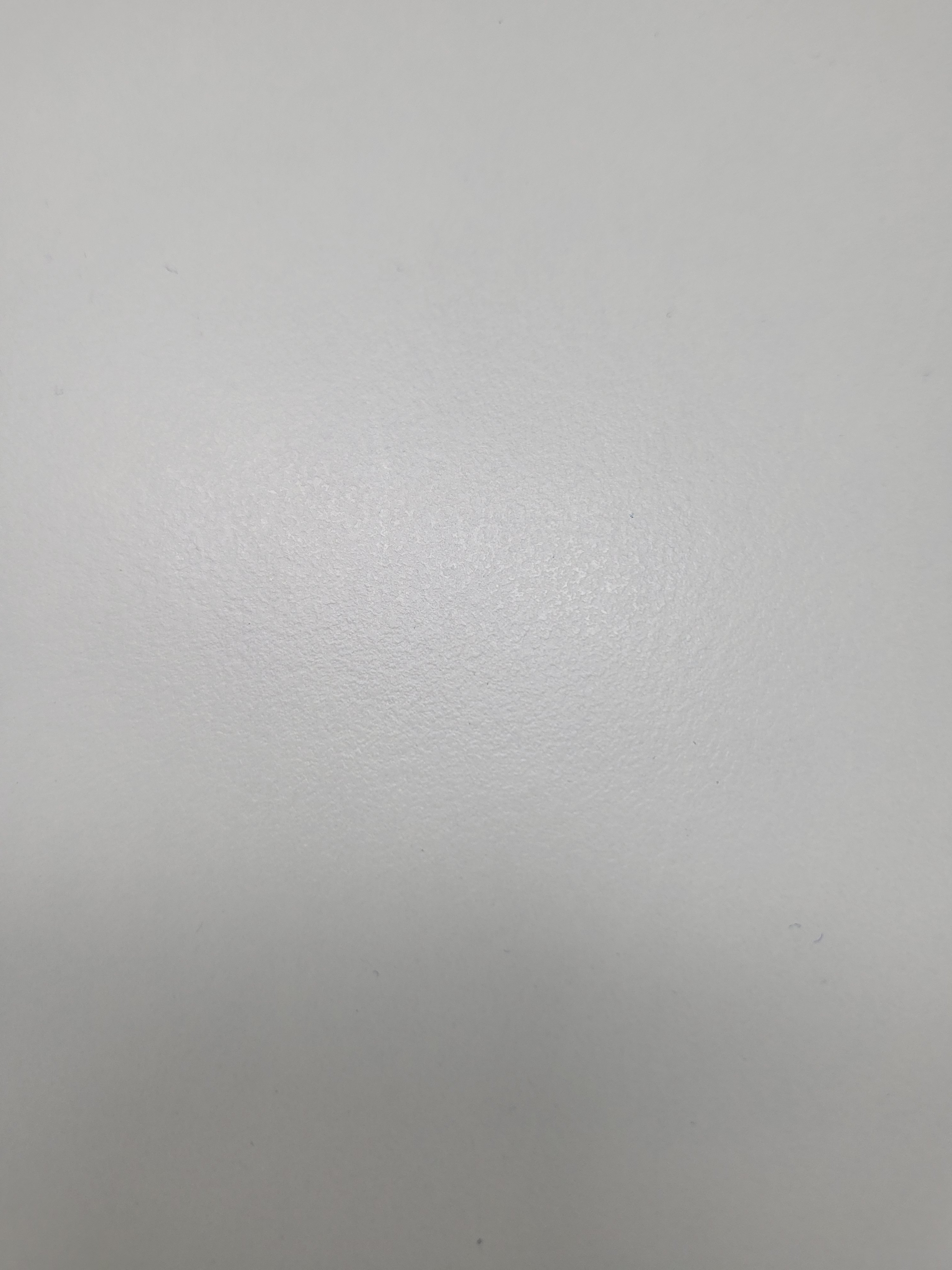 팜모닝 자유주제·사진전 게시글 이미지