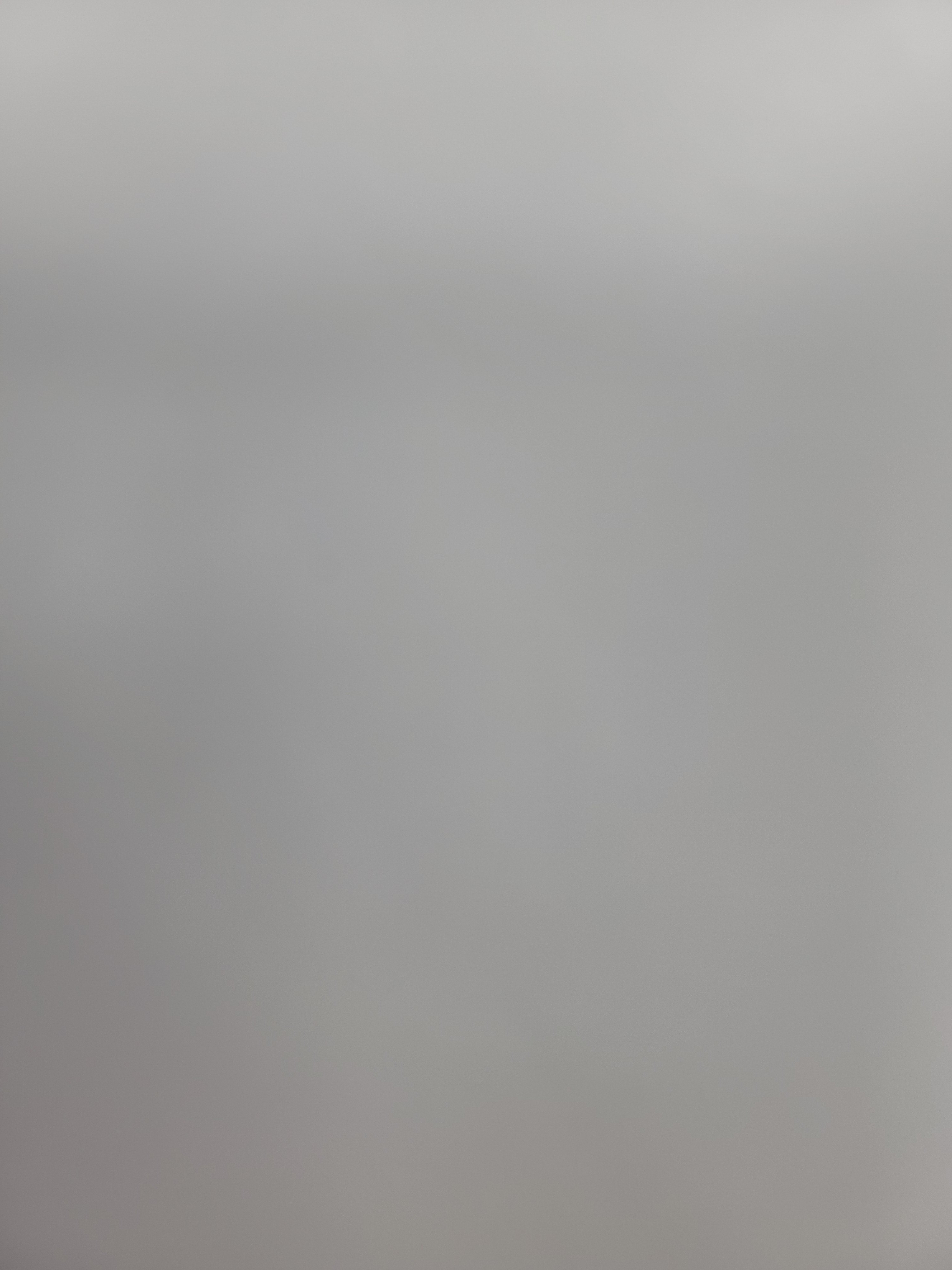 팜모닝 · 게시글 이미지