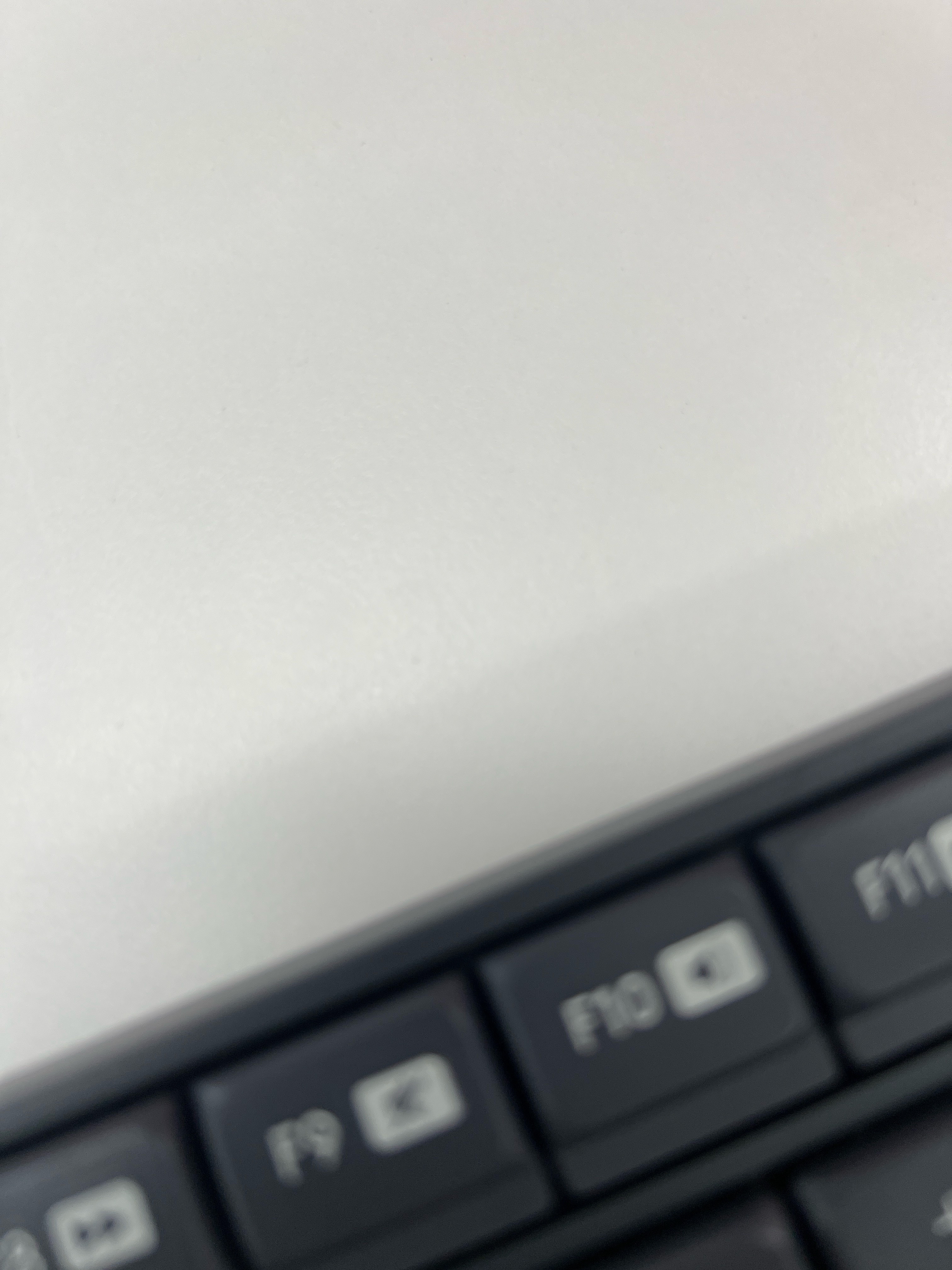 팜모닝 자유주제·사진전 게시글 이미지