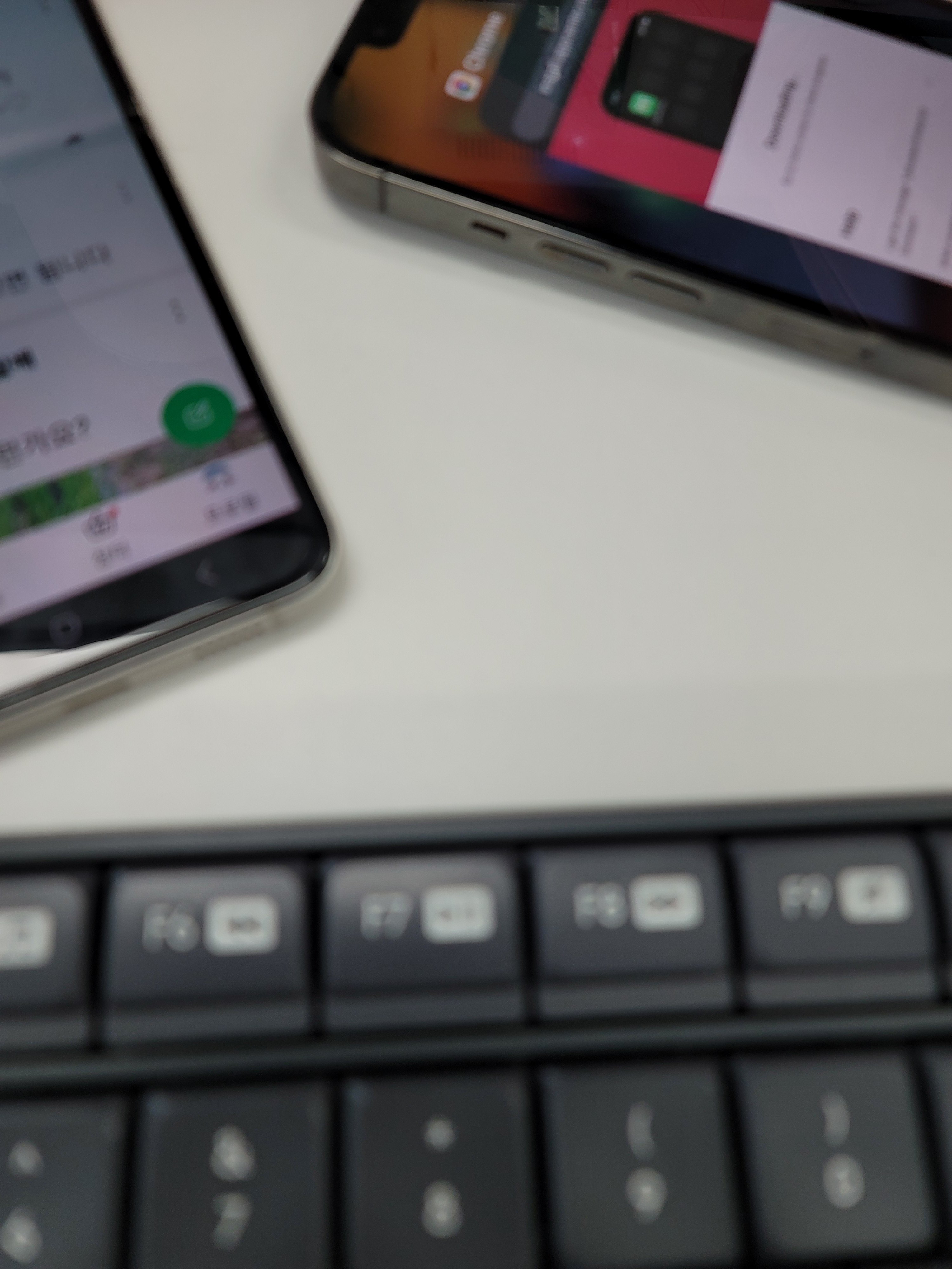 팜모닝 사과·영농일지 게시글 이미지