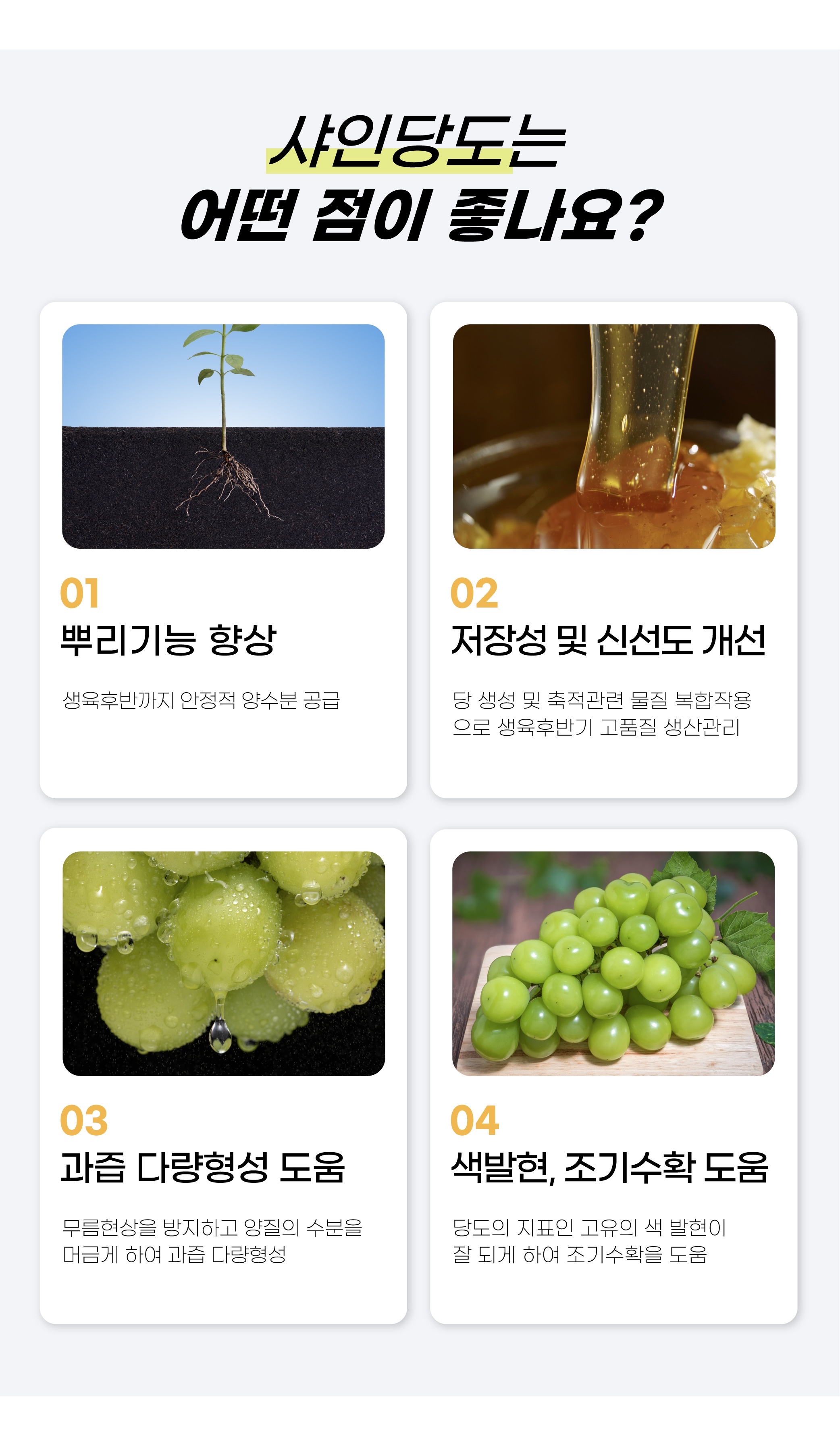 FM테스트_기업님의 장터 판매 상품 [[테스트] 샤인당도 영양제] 첨부 사진