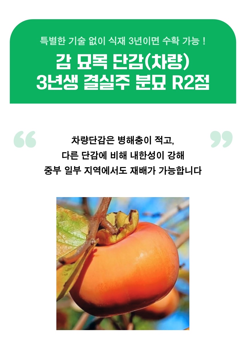 FM테스트_기업님의 장터 판매 상품 [1234124] 첨부 사진