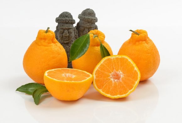 QA팀자동화계정A님의 장터 판매 상품 [gg] 첨부 사진