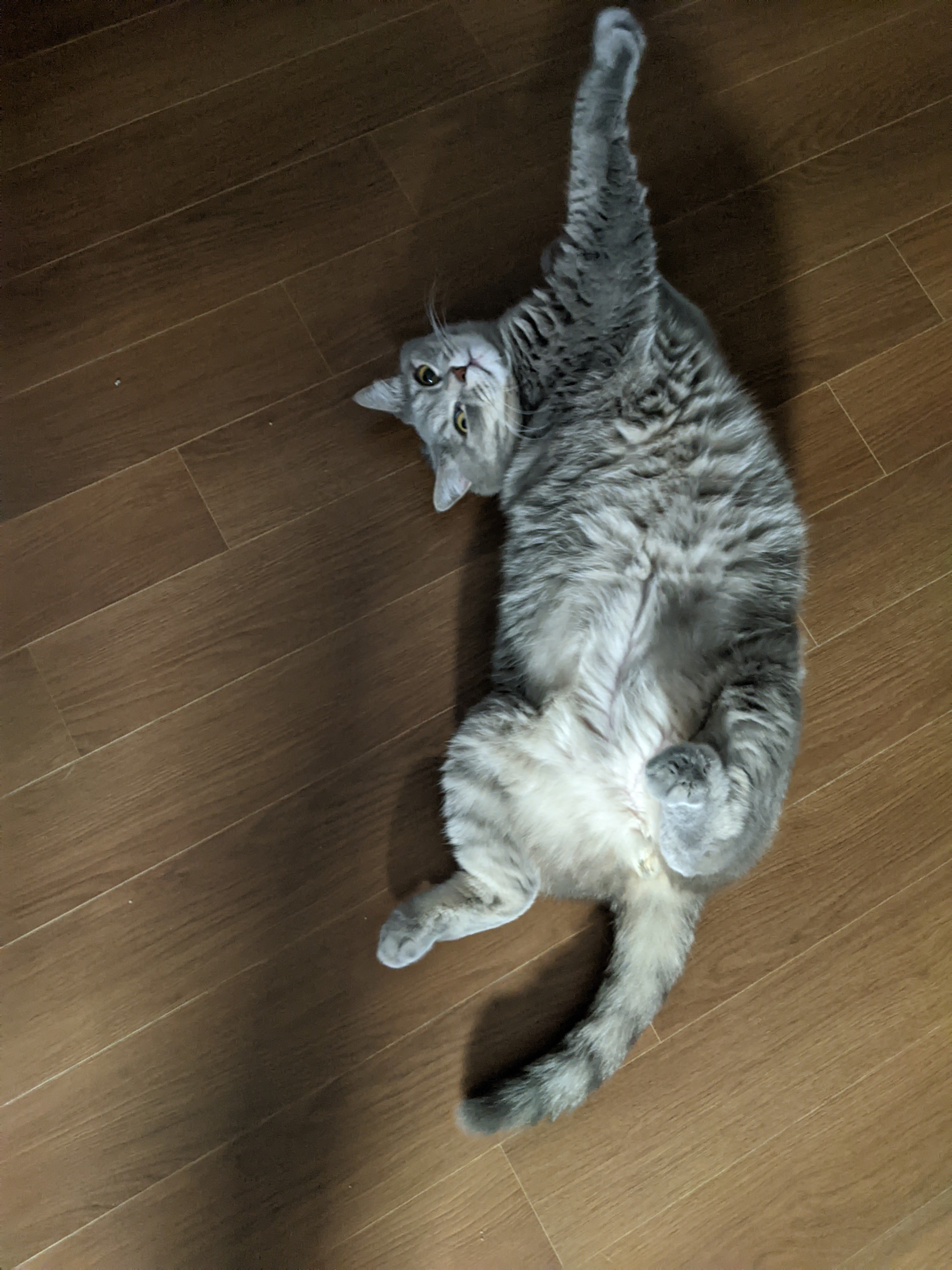 팜모닝 자유주제·자유게시판 게시글 이미지