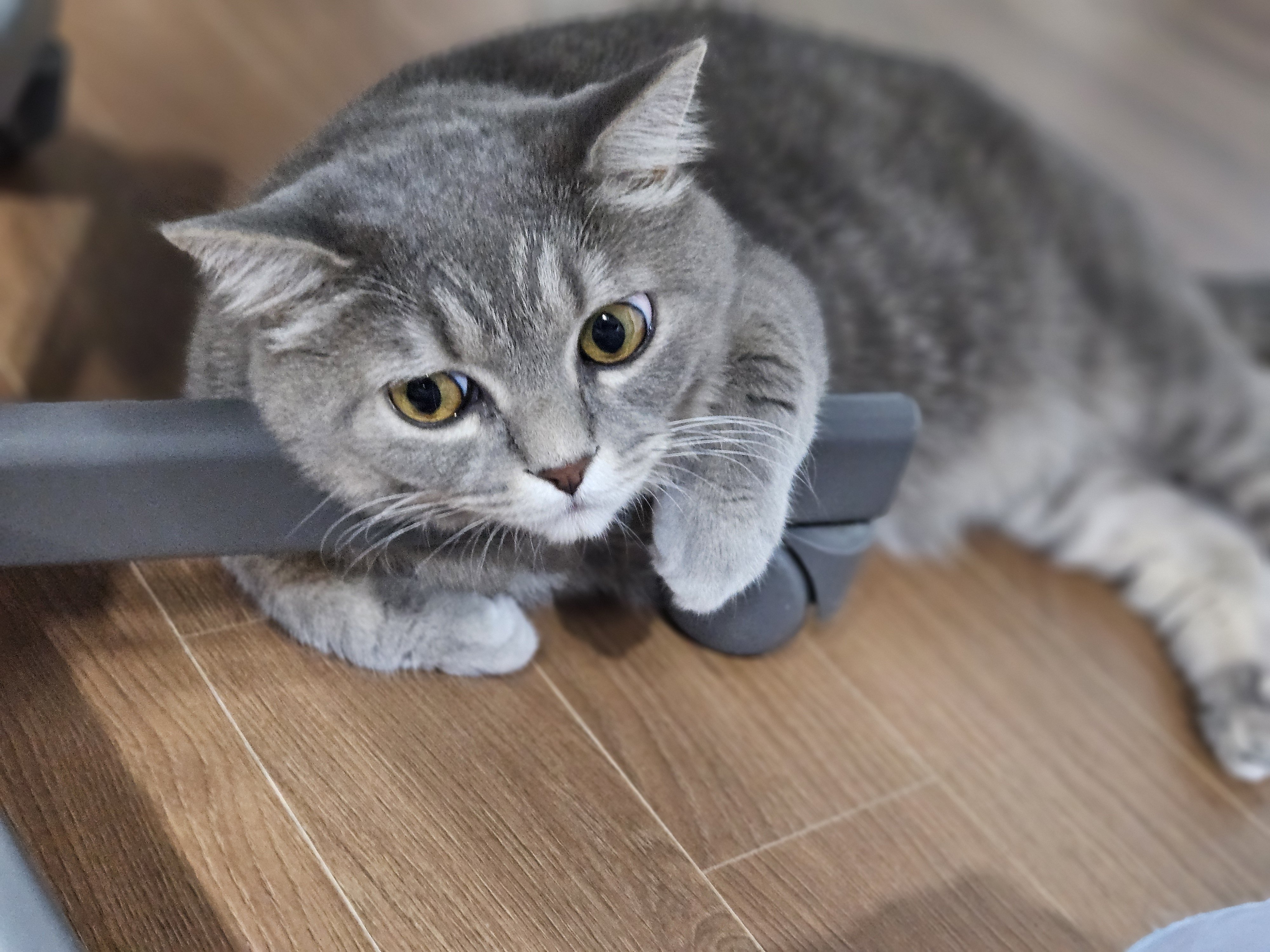 팜모닝 자유주제·자유게시판 게시글 이미지