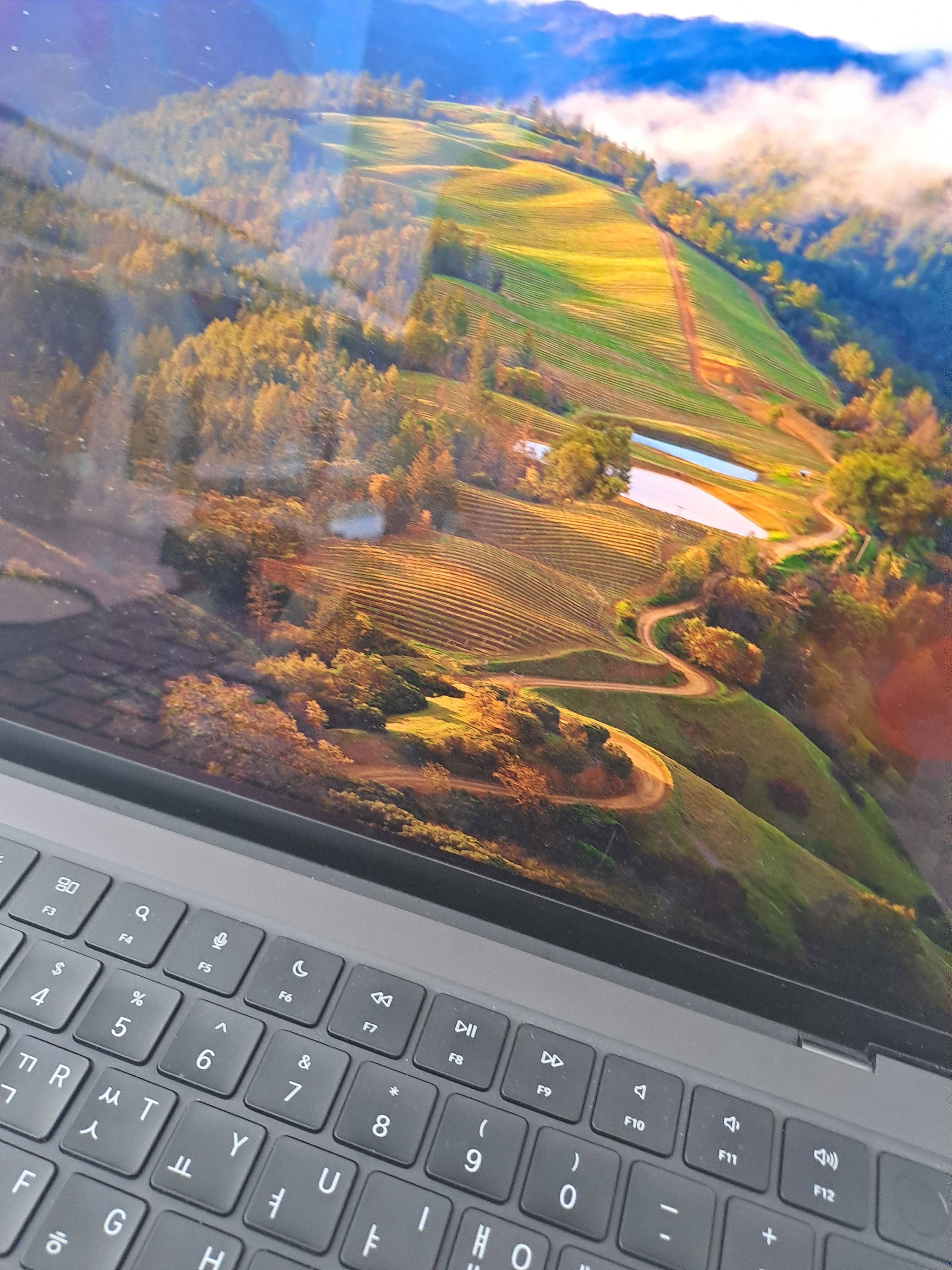 팜모닝 자유주제·자유게시판 게시글 이미지