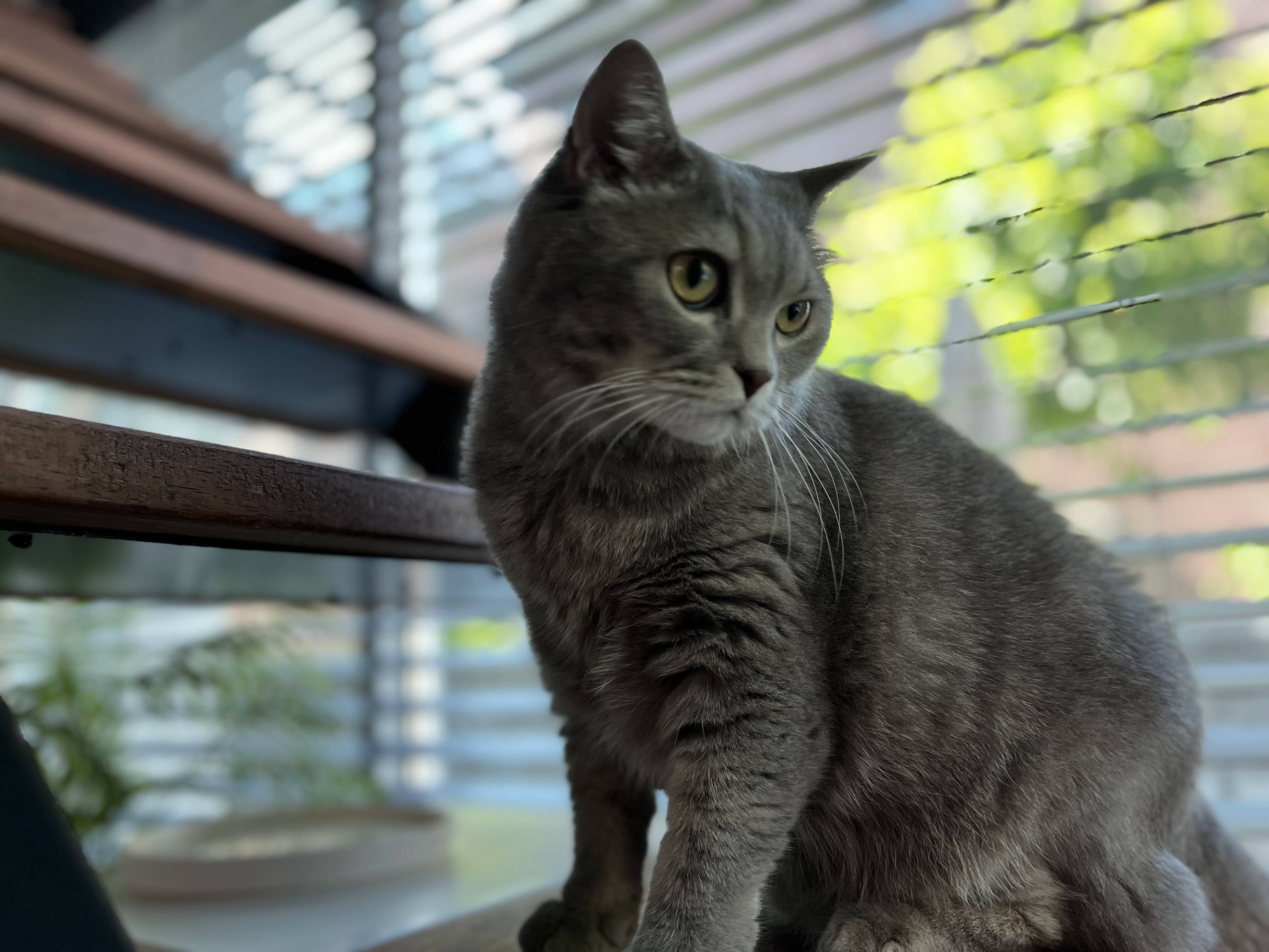 팜모닝 감자·영농일지 게시글 이미지