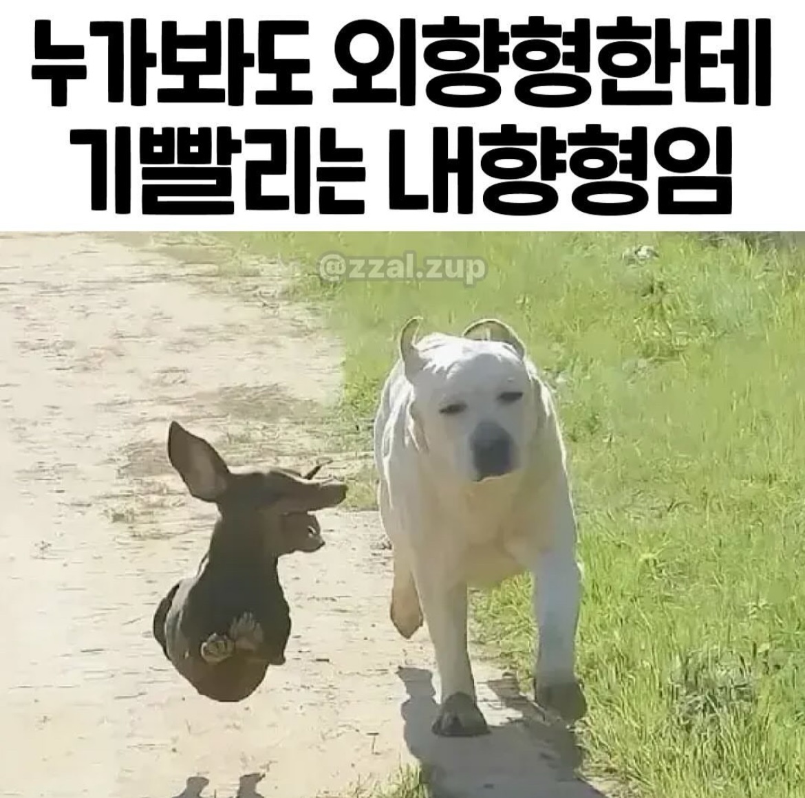 유저시나리오가입님의 자유주제 · 자유게시판 작성글 사진