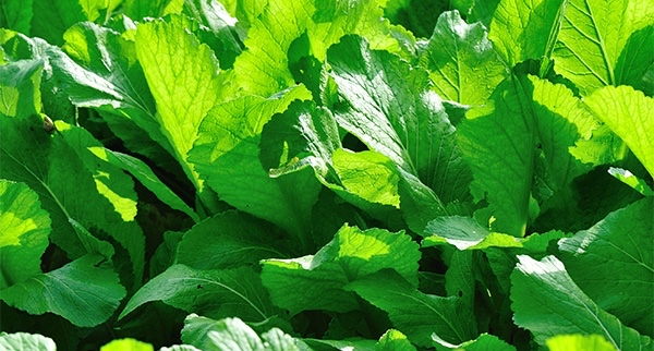 이름 없음님의 프로필