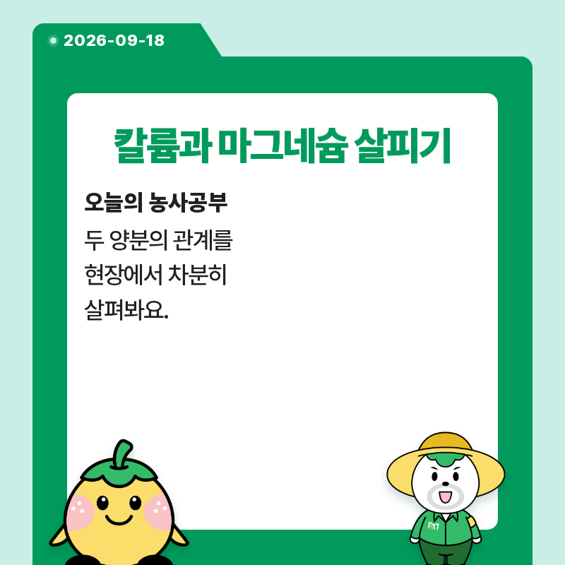 팜모닝 농사공부님의 매일매일 농사공부·매일매일 농사공부 작성글 사진