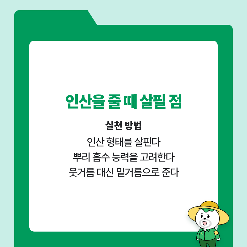 팜모닝 농사공부님의 매일매일 농사공부·매일매일 농사공부 작성글 사진